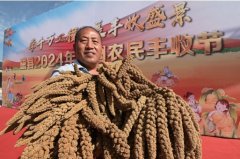 旗号网：认为动力提拔国度粮食平安保障程度